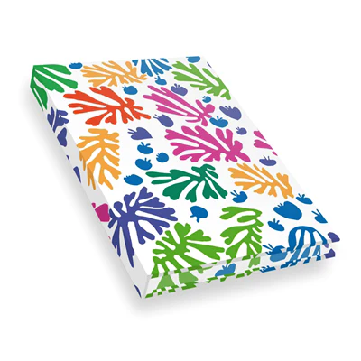 Carnet Hazan pleine toile. Matisse La perruche et la sirène