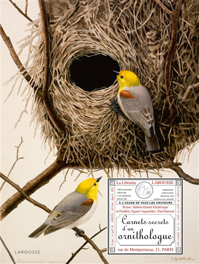 Carnets secrets d'un ornithologue - Image 2