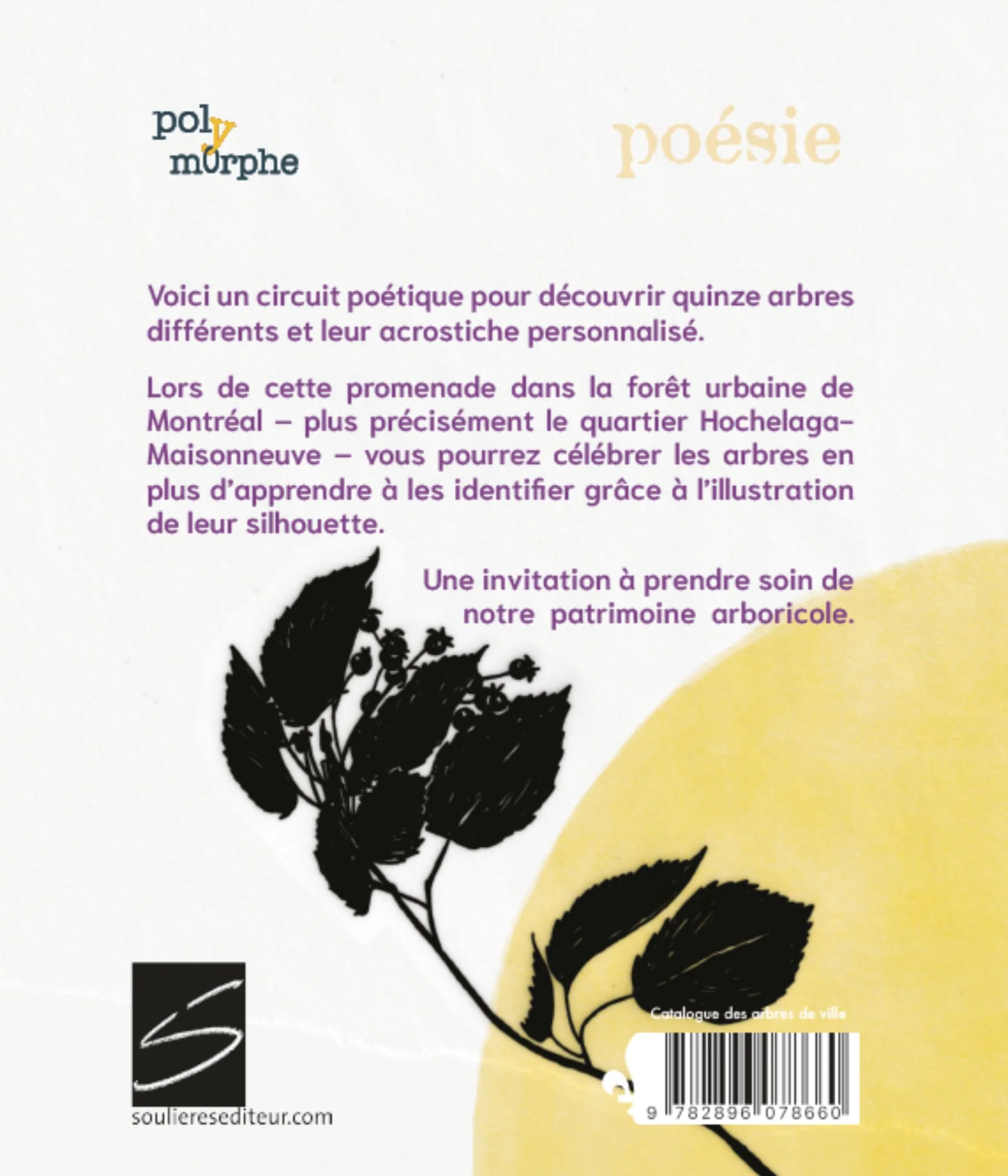 Catalogue des arbre de ville - Image 2