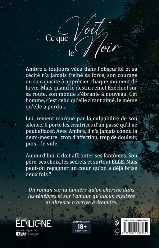 Ce que voit le noir - Image 2