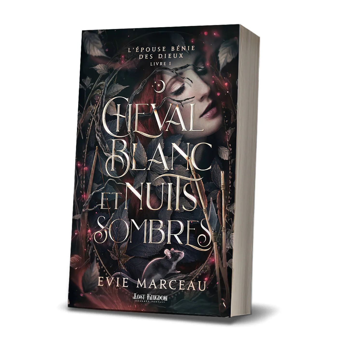 Cheval Blanc et Nuits Sombres