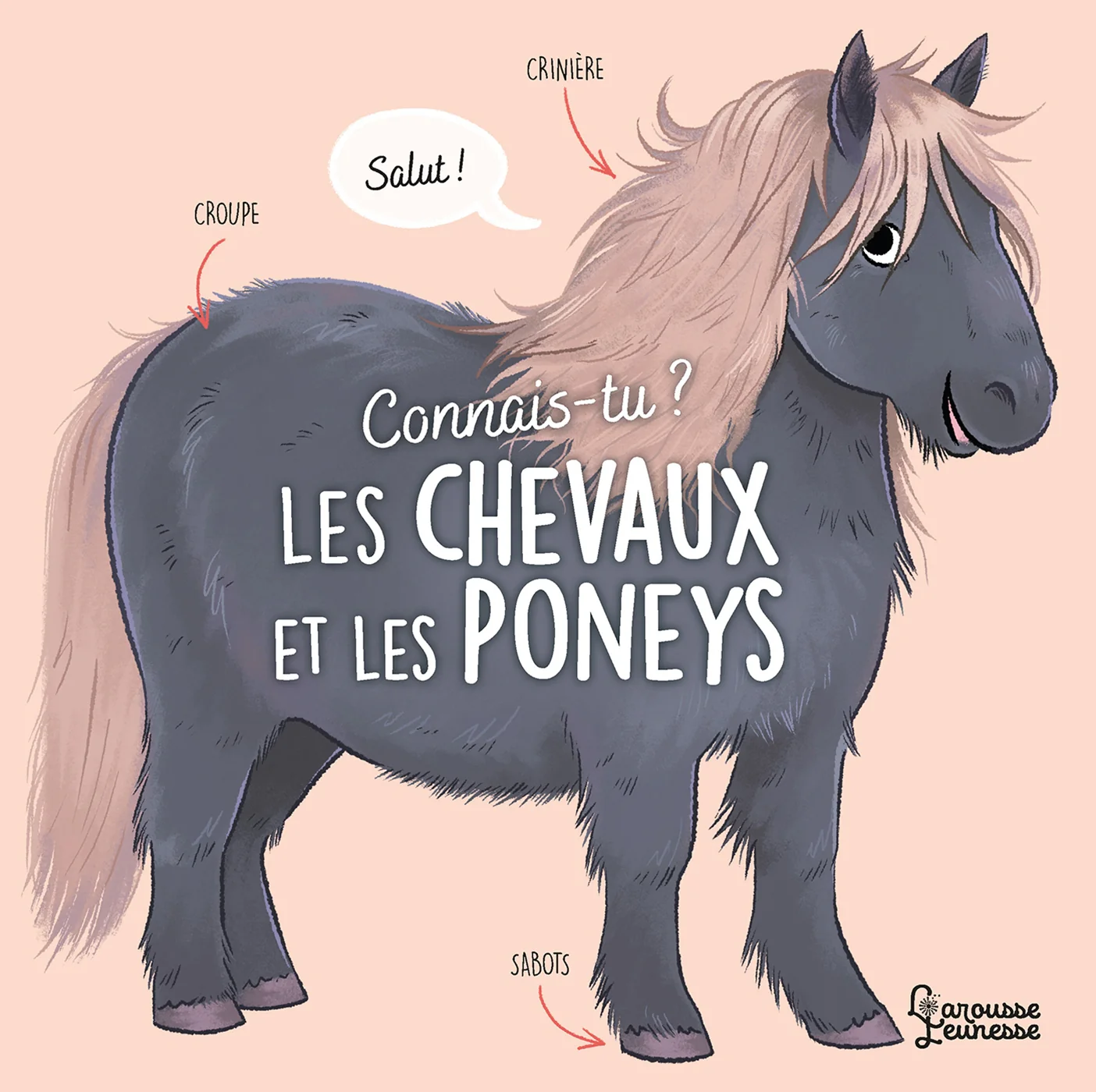 Nouveautés - QUB livre