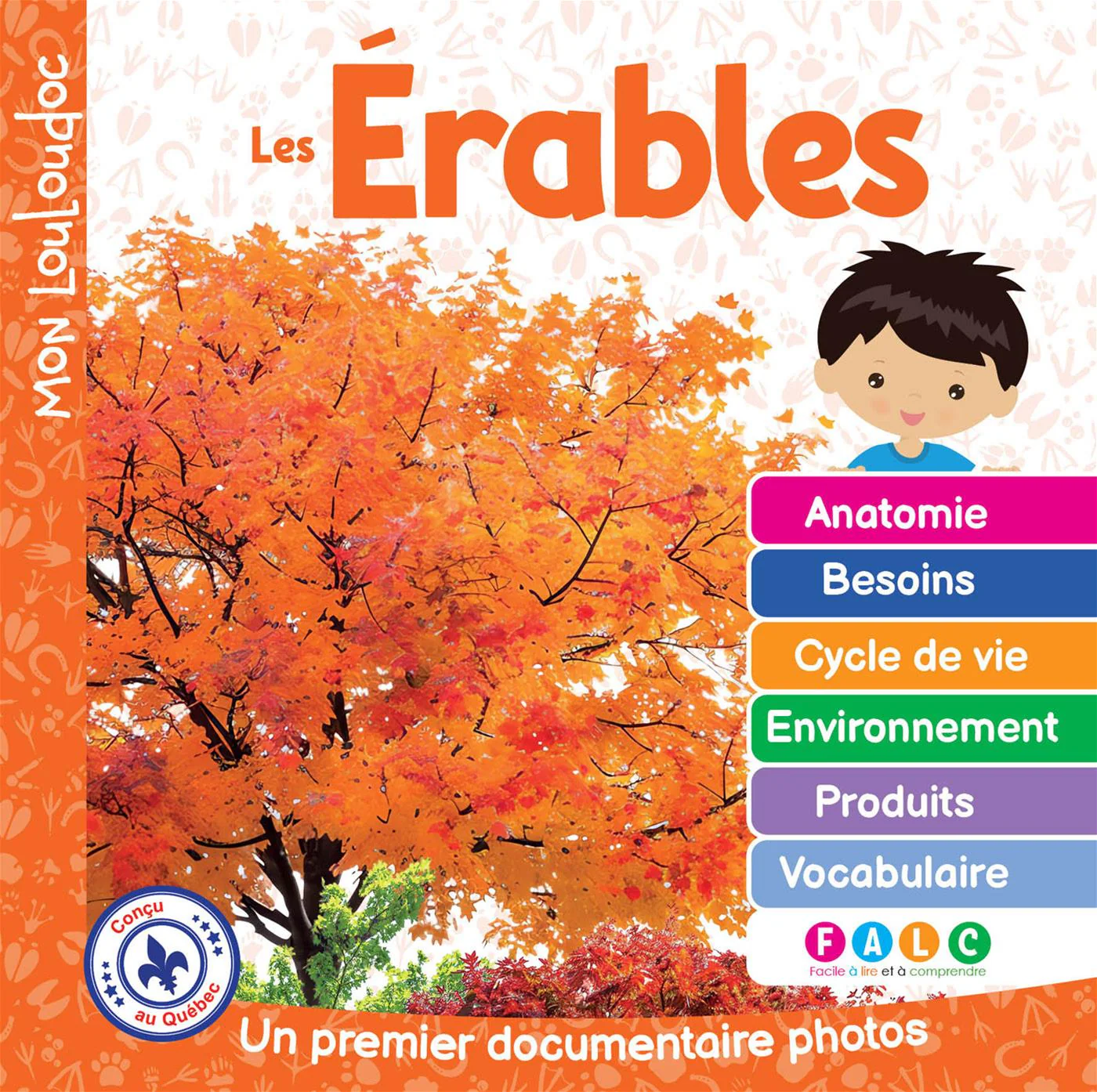 Les érables - Image 4