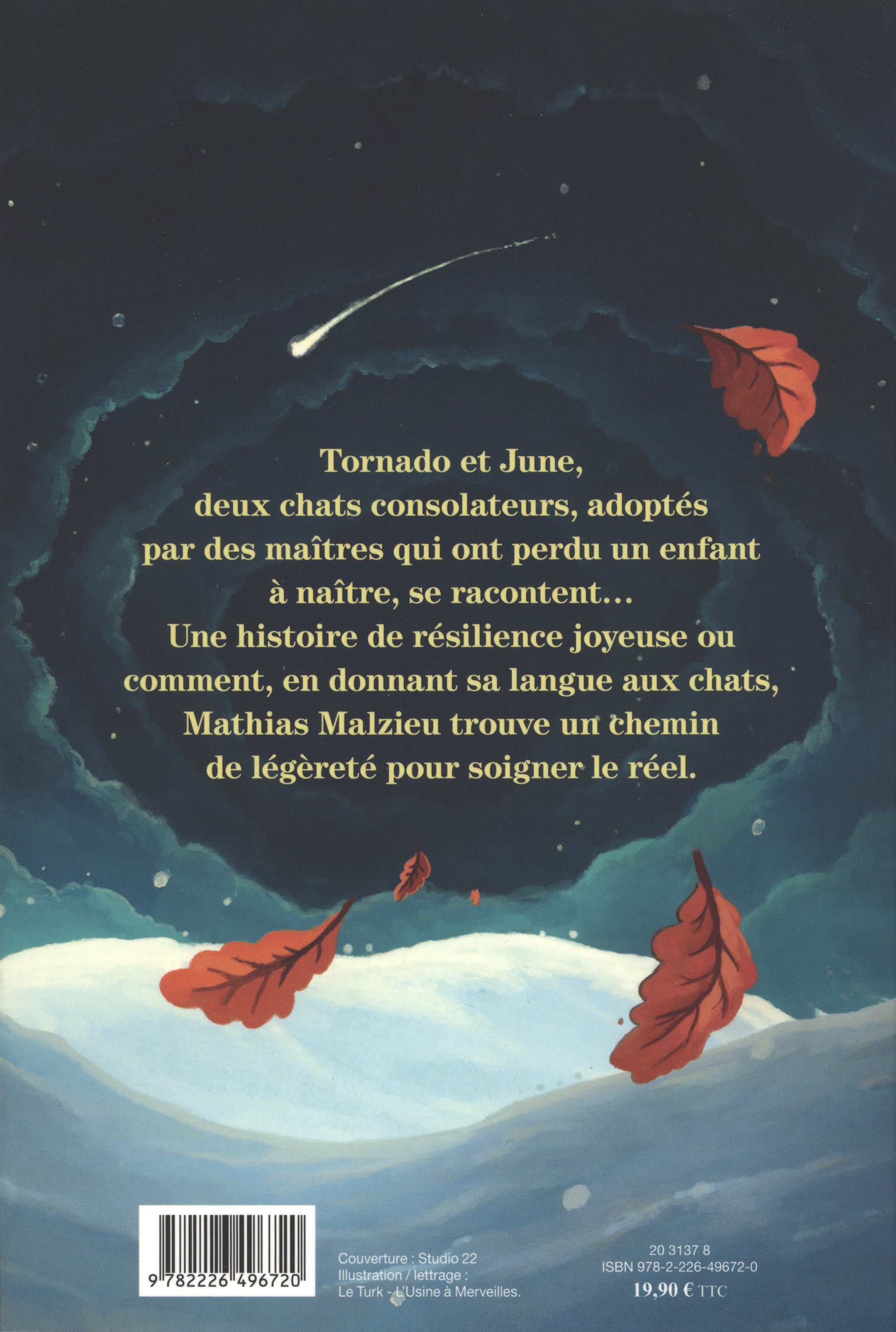 L'homme qui écoutait battre le coeur des chats - Image 2