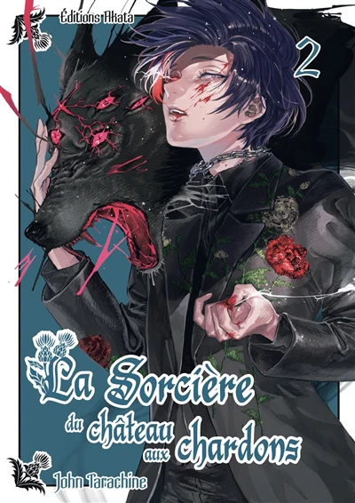 SORCIERE DU CHATEAU AUX CHARDONS T02 -LA