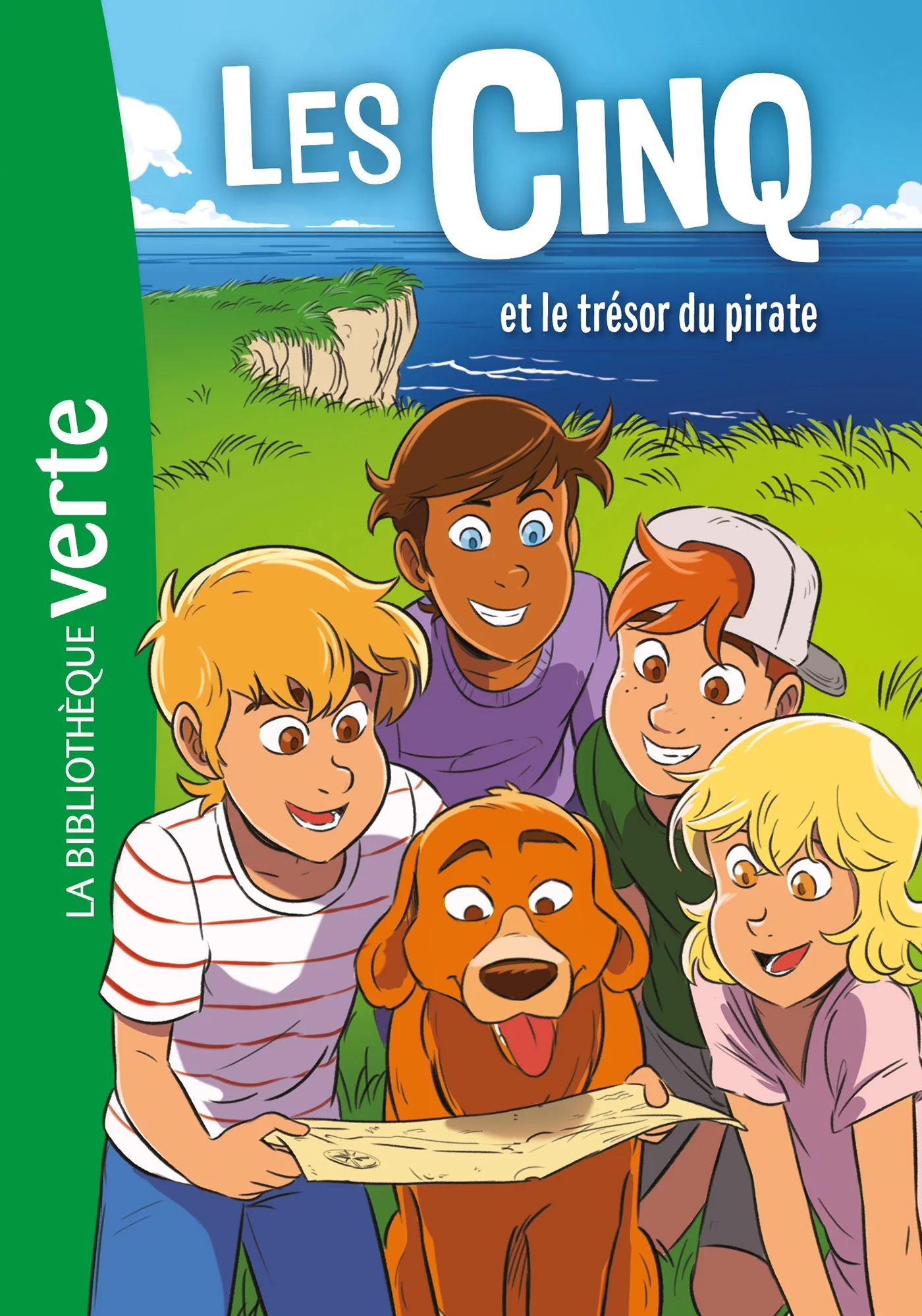 Les Cinq NED 41 - Les Cinq et le trésor du pirate