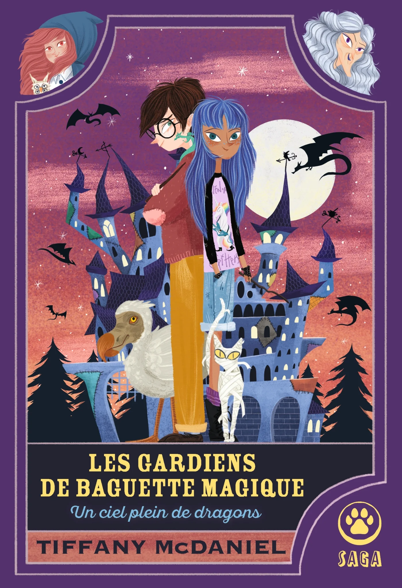 Les Gardiens de baguette magique : un ciel plein de dragons