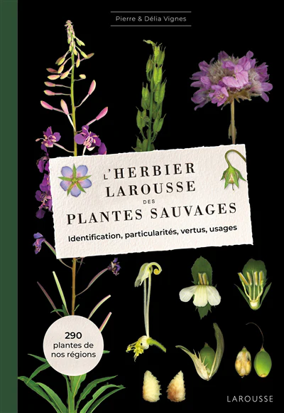 L'Herbier des plantes sauvages - Image 8