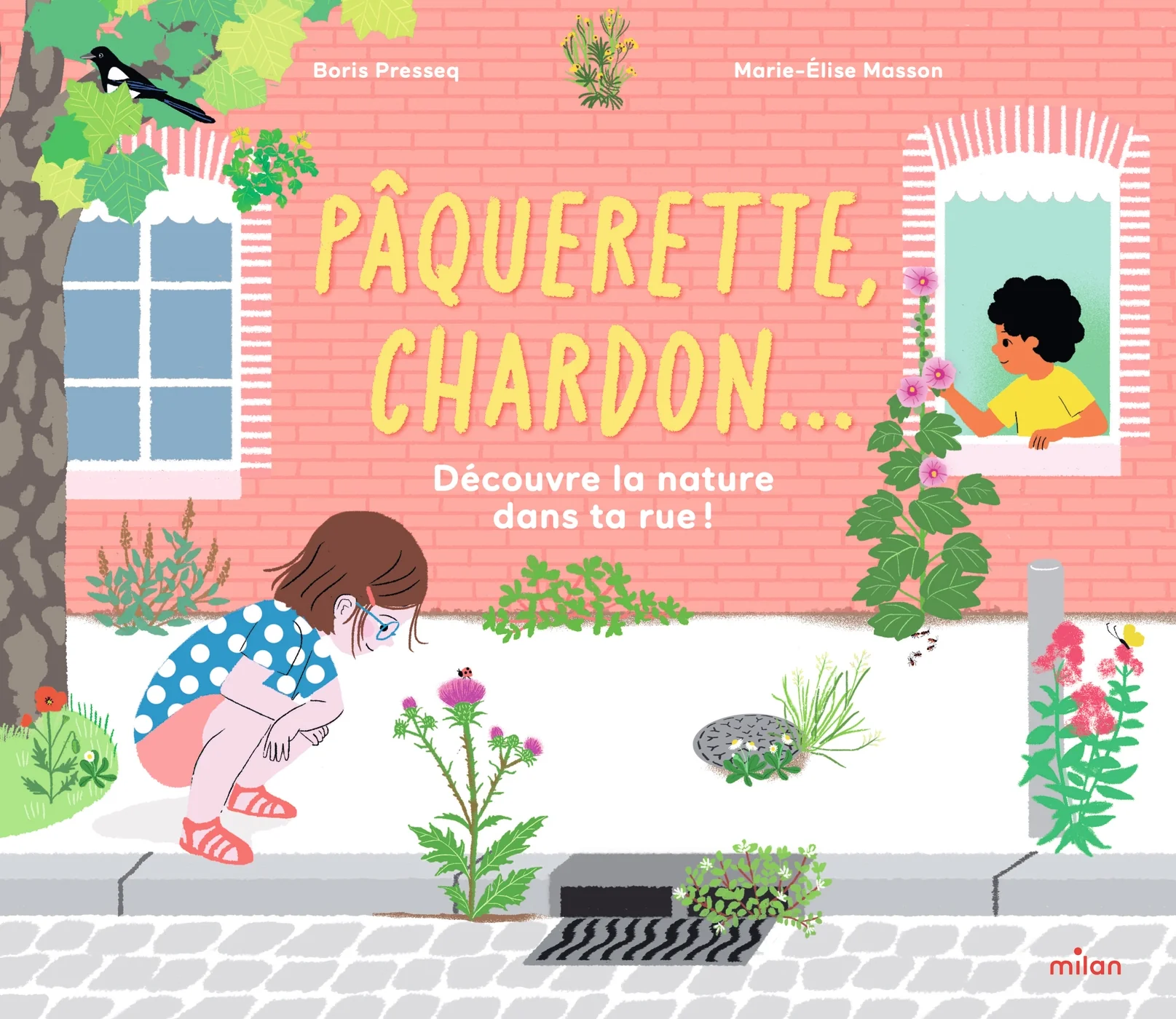 Pâquerette, chardon... Découvre la nature dans ta rue !