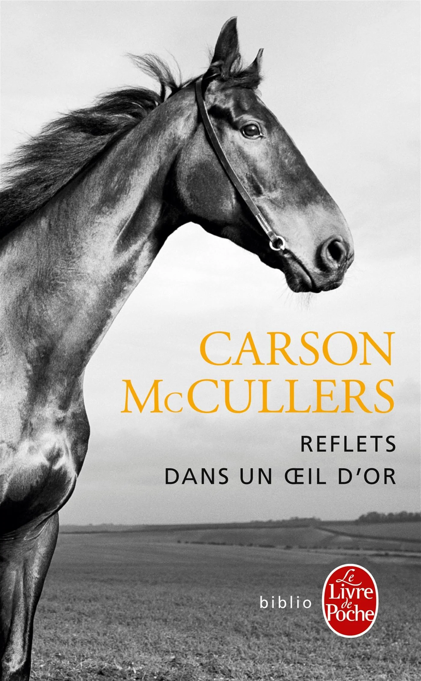 REFLETS DANS UN OEIL D'OR