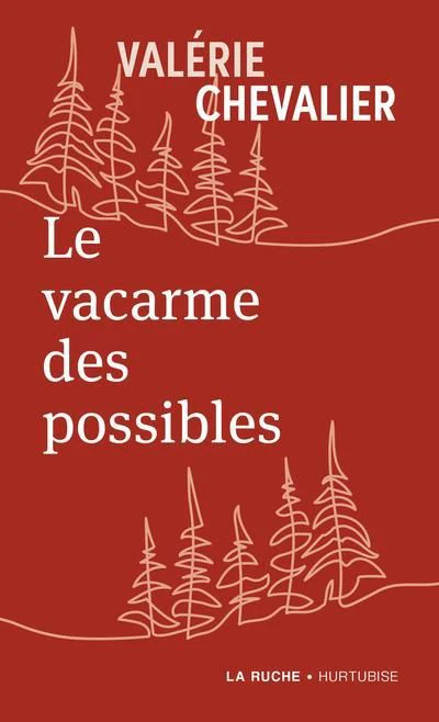 VACARME DES POSSIBLES -LE